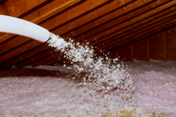 Best Eco-Friendly Insulation in Minnetrista, MN
