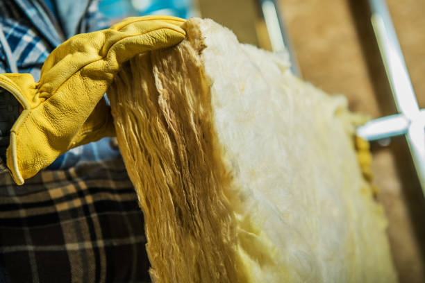 Best Fiberglass Insulation in Minnetrista, MN