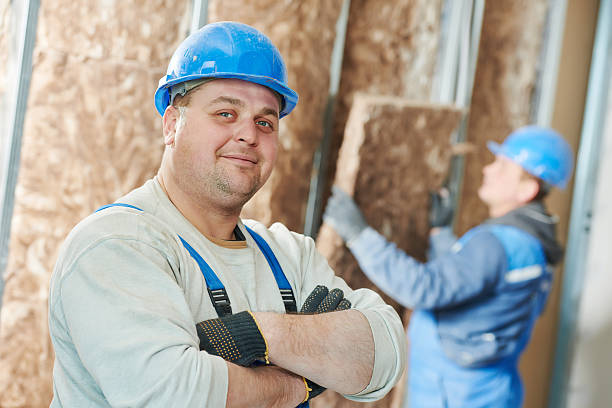 Best Insulation Maintenance and Repair in Minnetrista, MN